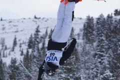 2015 FIS Worldcup Freestyle Moguls