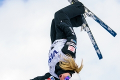 2018 FIS FREESTYLE WORLD CUP