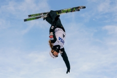 2018 FIS FREESTYLE WORLD CUP